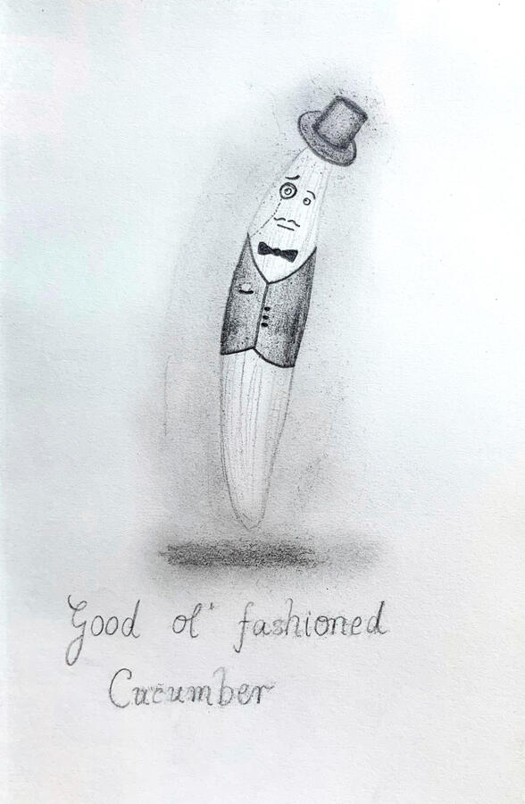good ol' fashioned cucumber ~ pencil on paper / 2017